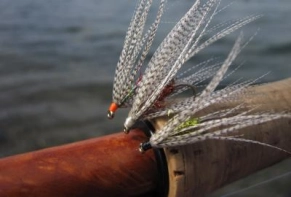 A Genner Bug trio A Genner Bug trio