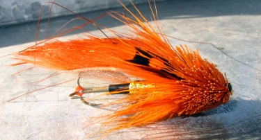 Orange tube Orange tube