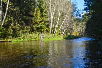 Full of fish Full of fish