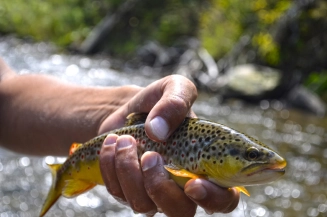 Small but nice Small but nice