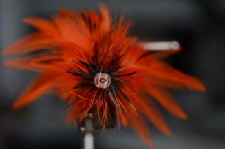 Front look Front look