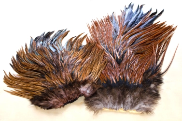 Furnace saddle hackle Furnace saddle hackle