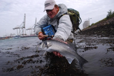 Searching the weeds Searching the weeds