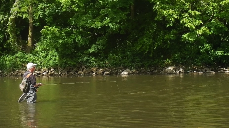 Drifting a Skin & Foam Pupa Drifting a Skin & Foam Pupa