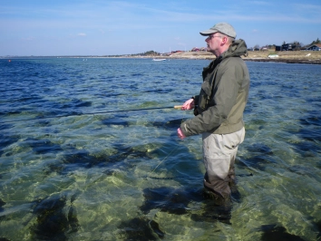 Fishing the shallows Fishing the shallows