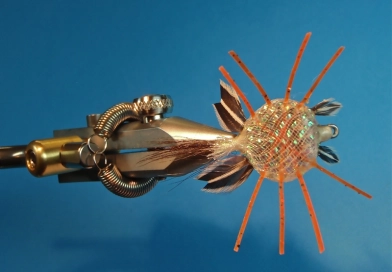 General layout General layout