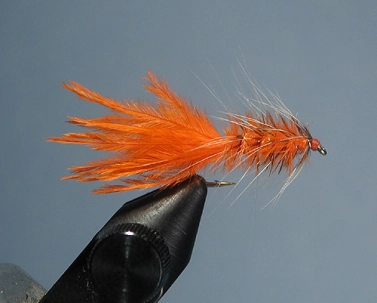 Orange Baby Bugger Orange Baby Bugger