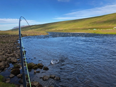 Ready to land Ready to land