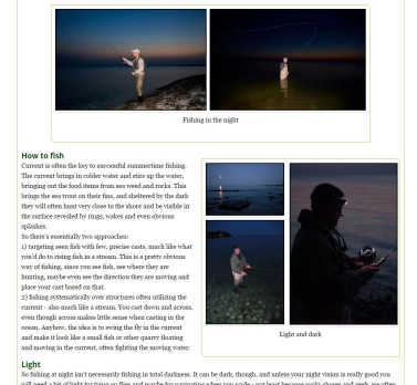 Article page Article page