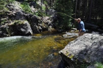 First Fish! First Fish!