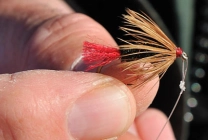 A larger version A larger version