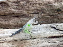 Grey with green eyes Grey with green eyes