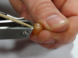 Clip the toothpick Clip the toothpick