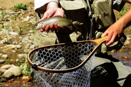 The payoff The payoff