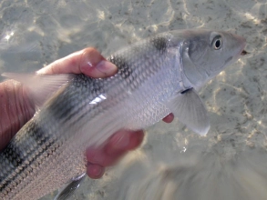 Here's looking at you, kid Here's looking at you, kid