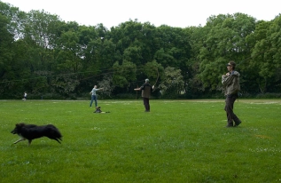 On the grass On the grass