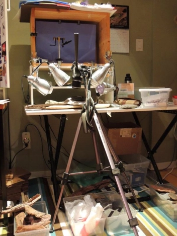 The photo setup The photo setup