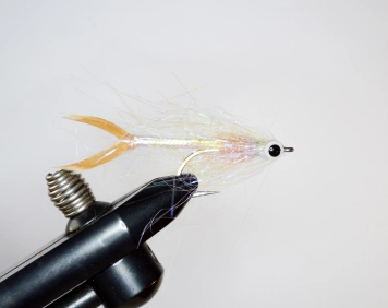 Speedy - step 5 Speedy - step 5