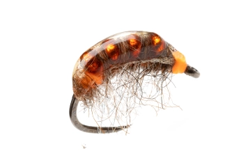 A sheen of orange A sheen of orange