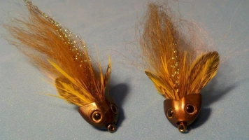 Great looking sculpins Great looking sculpins