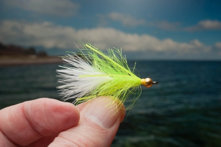 Beaded lure Beaded lure