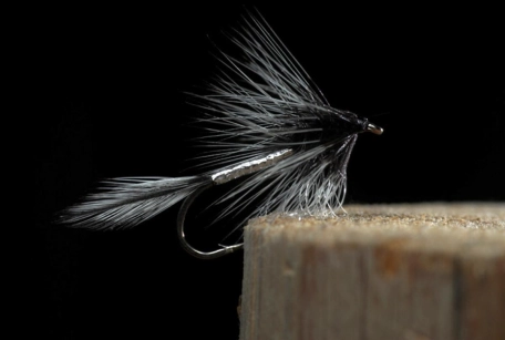 Badger Big Hole Demon Badger Big Hole Demon