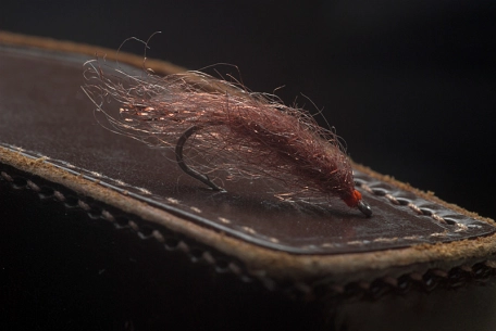 Translucent Translucent