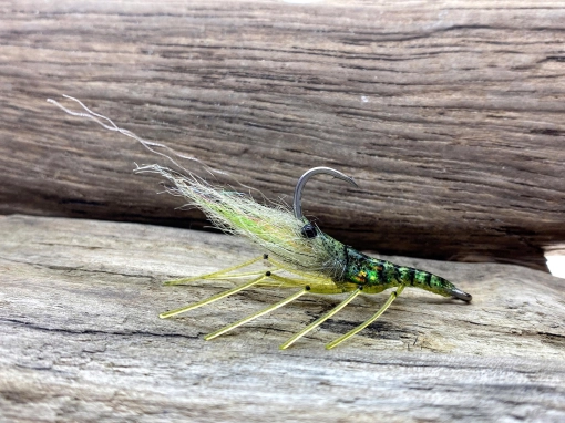 Olive shrimp Olive shrimp