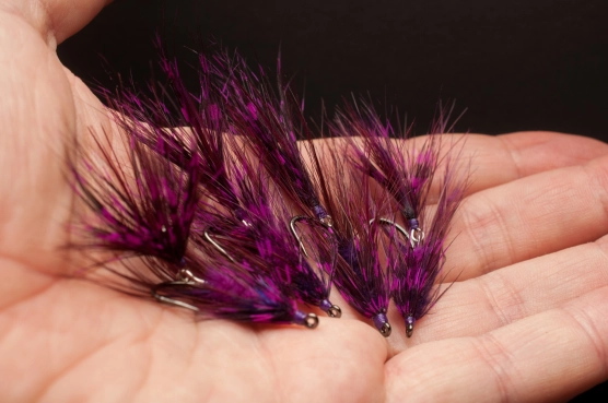 Purple handful Purple handful