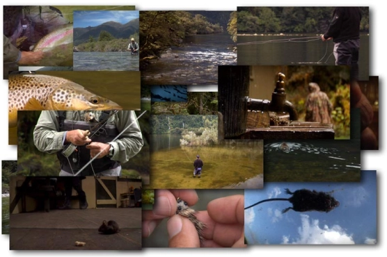 Once in a blue moon Once in a blue moon