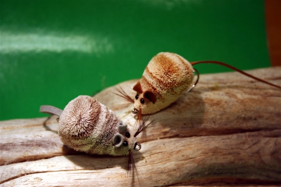 Densely packed Densely packed