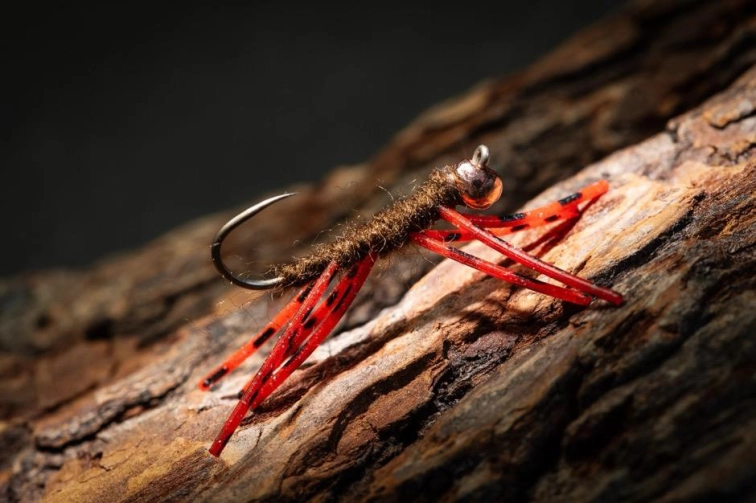 Milti legged Hallucinator Milti legged Hallucinator