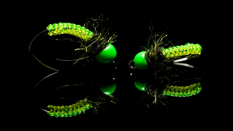 Green Knot Bug Green Knot Bug