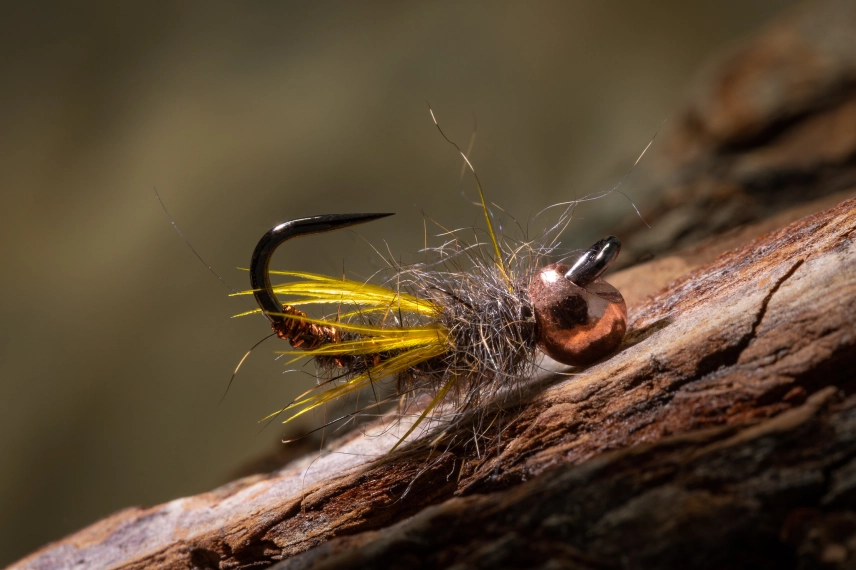 Canyon Caddis Canyon Caddis