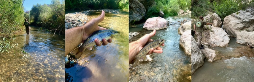 Ecemis and Alakir Trout Ecemis and Alakir Trout