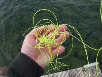 Some lines curl Some lines curl