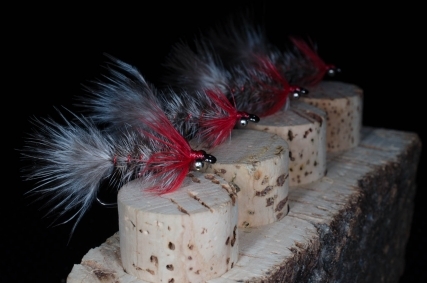 Blood Nosed Frede Blood Nosed Frede