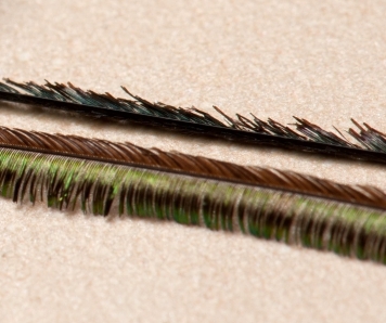 Steaming herl Steaming herl