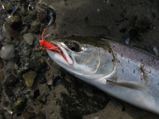 It works! - image It works! - image