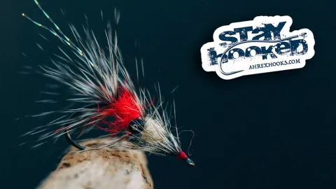 Video thumb for Raccoon - Vaskebjørn