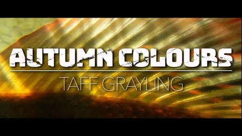 Video thumb for Autumn Colours - Taff Grayling