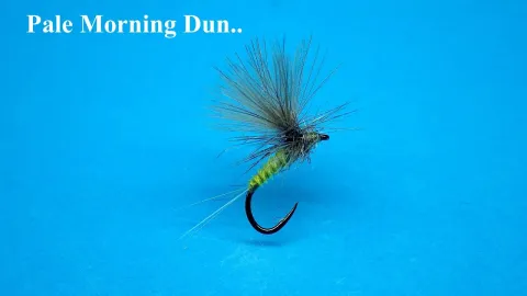 Video thumb for Pale Morning Dun