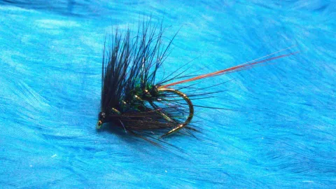 Video thumb for Quail's Fancy