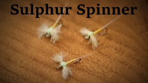 Video thumb for Sulphur Spinner