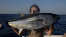 Video thumb for Mediterranean Fly Fishing For Tuna