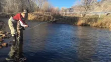 Video thumb for Mother Teaching Son to Fly Fish