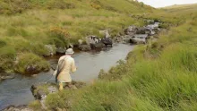 Video thumb for A Moorland Stream