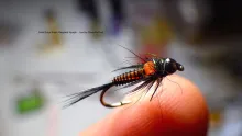 Video thumb for Edge Bright Weighted Nymph