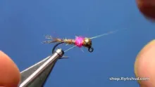 Video thumb for Hot Spot Jig Nymph