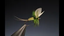 Video thumb for Yellow Mayfly Dun